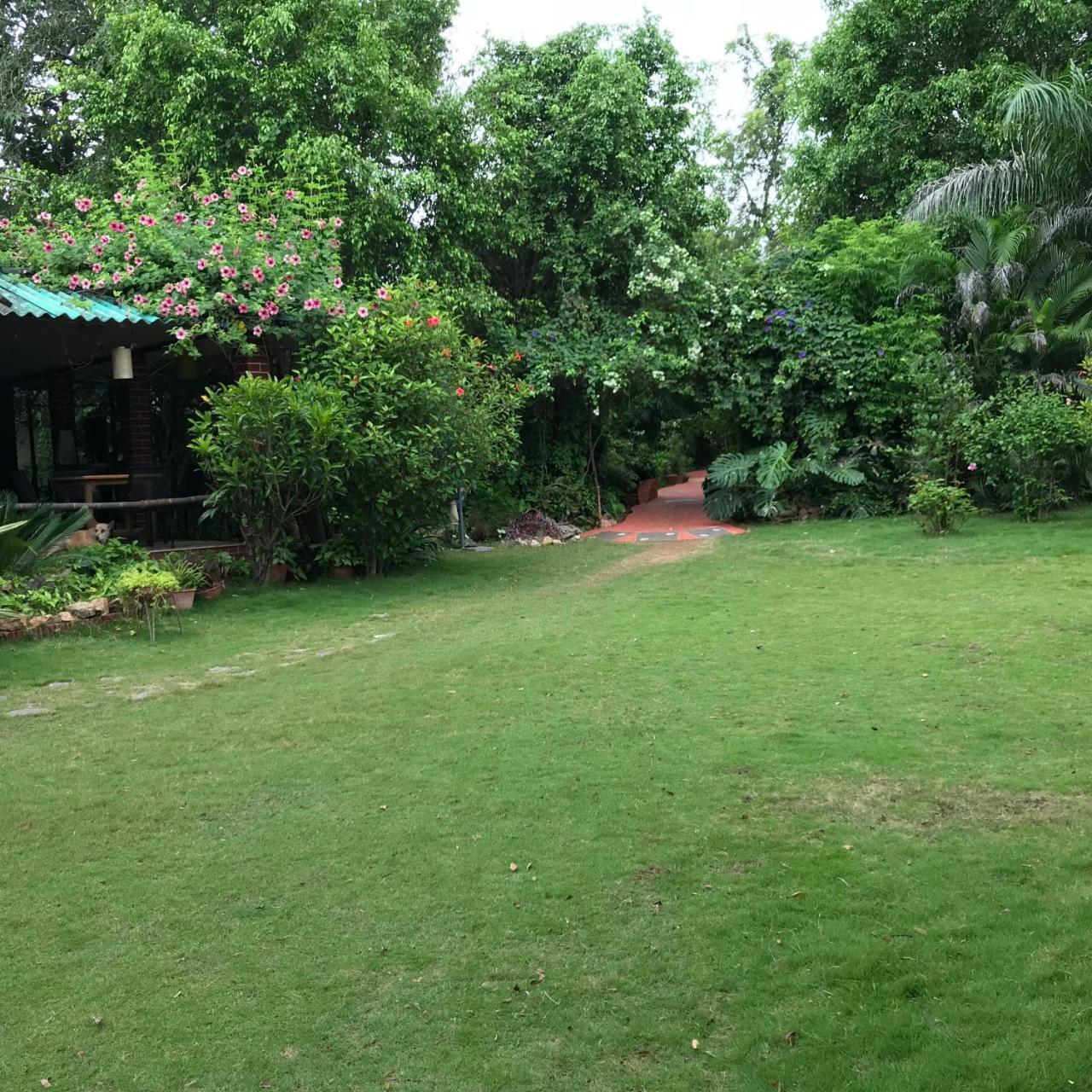 Baaz Jungle Resort Khawasa Экстерьер фото