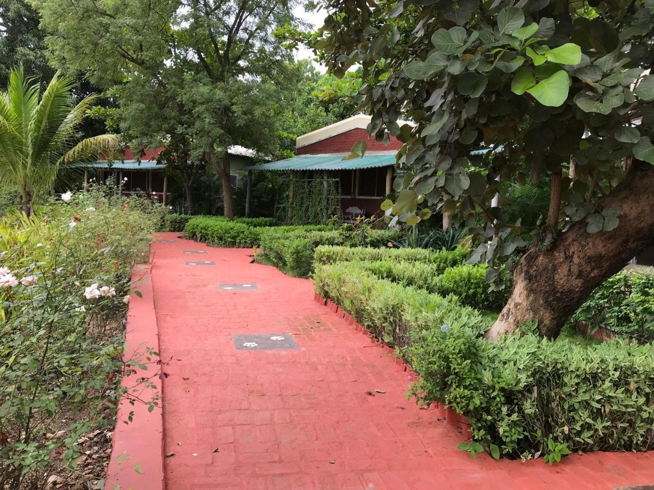 Baaz Jungle Resort Khawasa Экстерьер фото