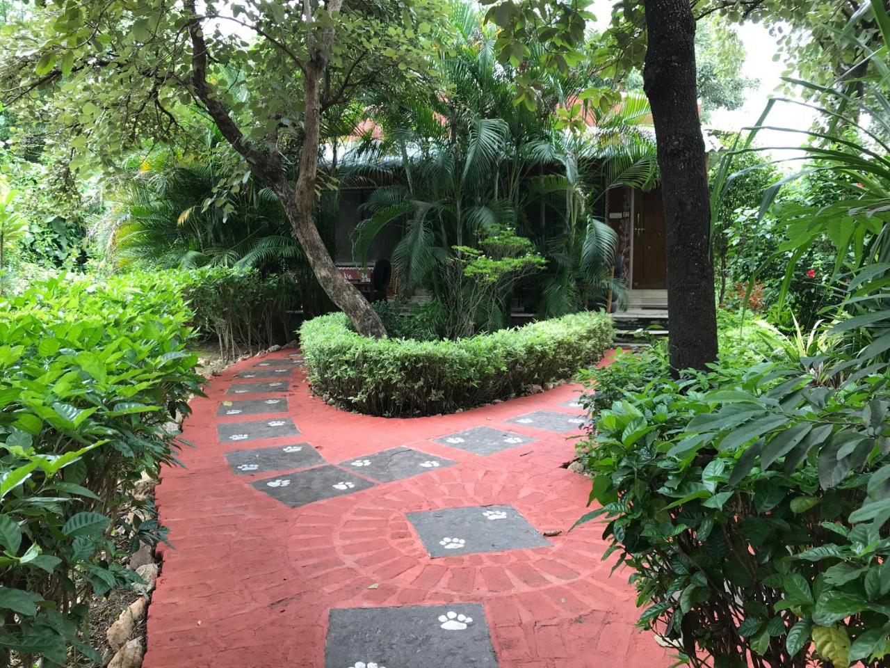 Baaz Jungle Resort Khawasa Экстерьер фото