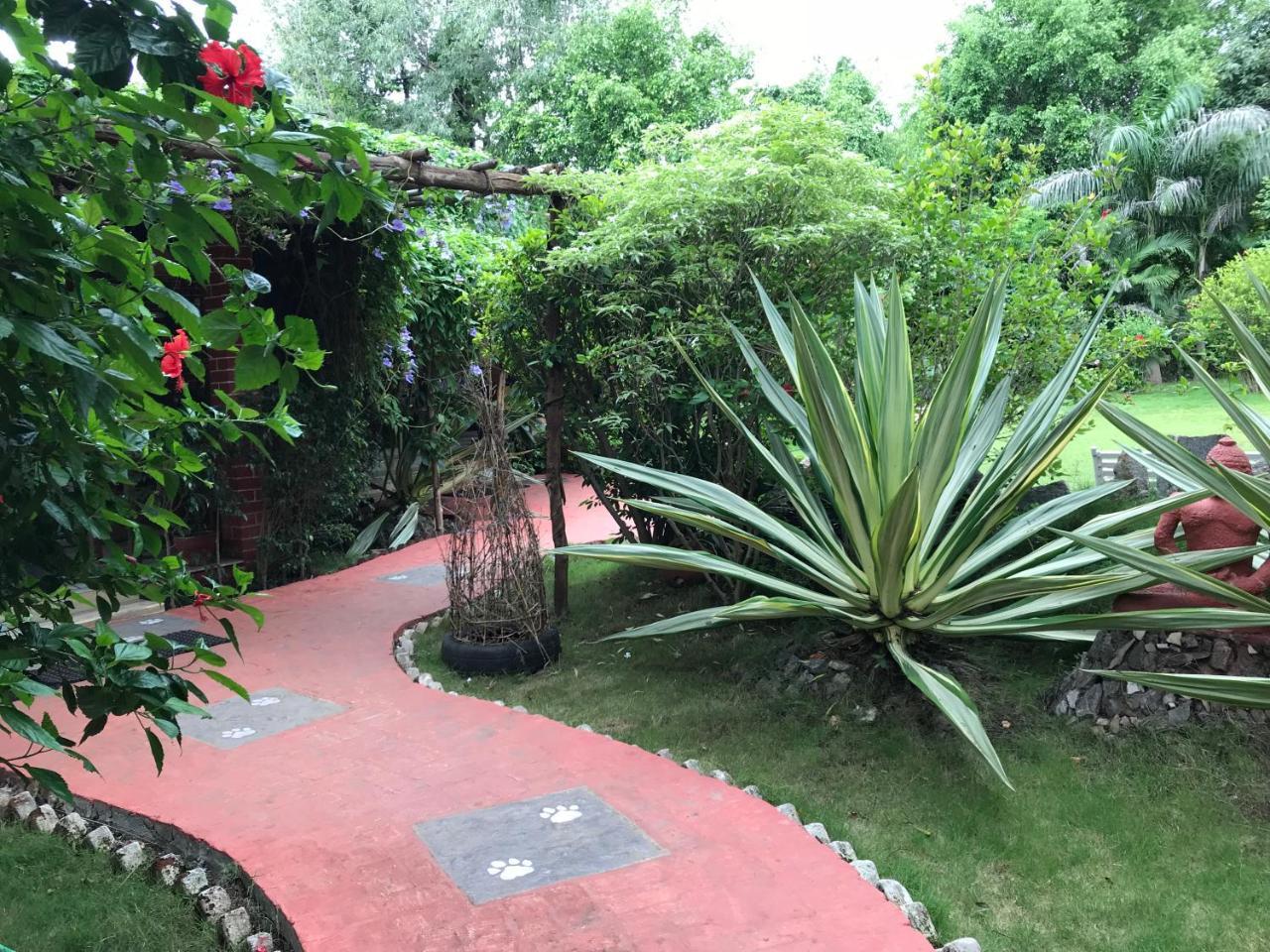 Baaz Jungle Resort Khawasa Экстерьер фото