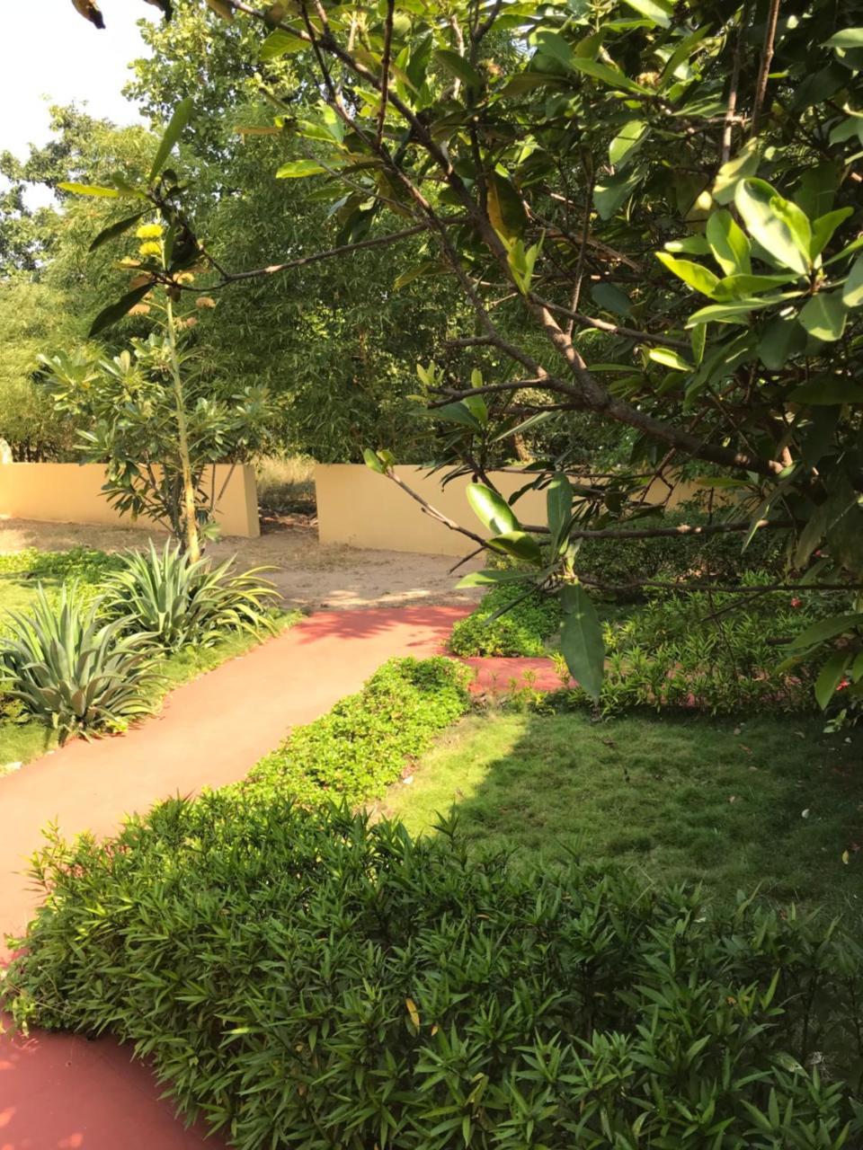 Baaz Jungle Resort Khawasa Экстерьер фото